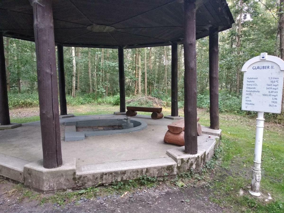 Apartments Ceska Frantiskovy Lazne Luaran gambar