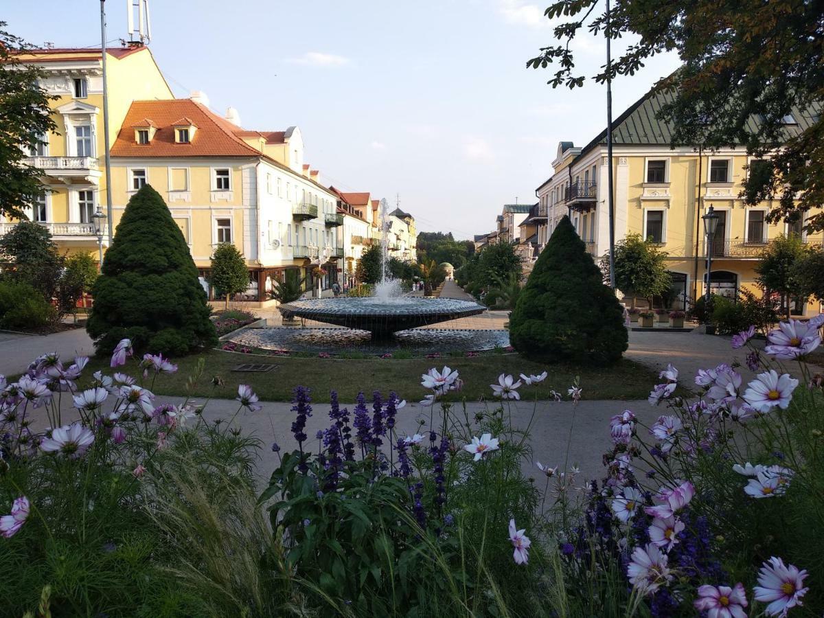 Apartments Ceska Frantiskovy Lazne Luaran gambar